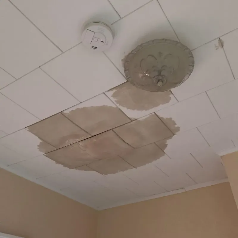 Ceiling Water Damage Repair in Dayton, MN
