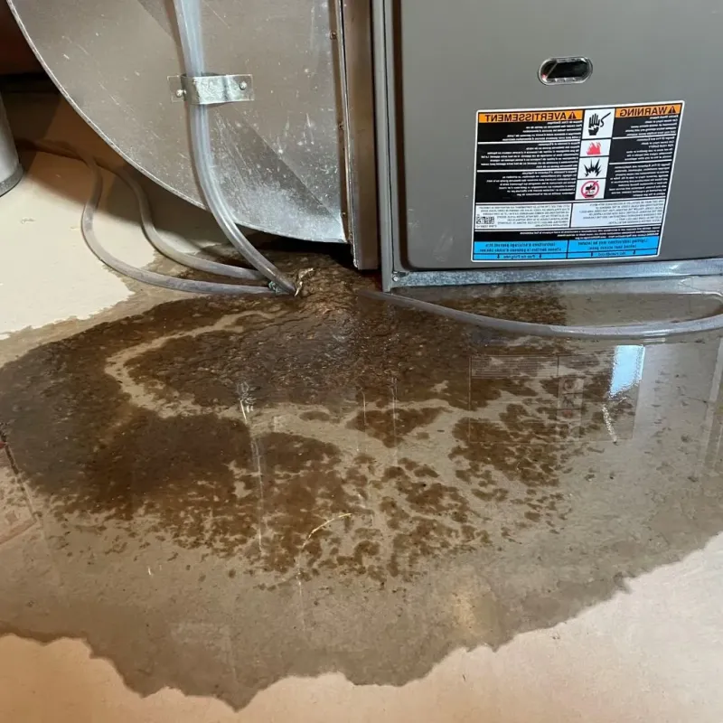 Pipe Burst and Leak Restoration in Dayton, MN